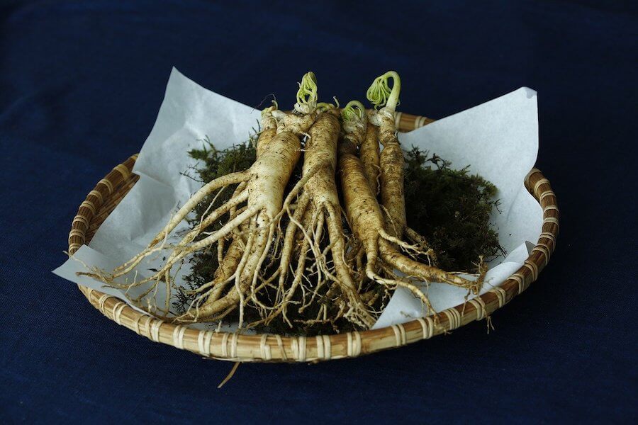 ginseng-tee-zubereitung