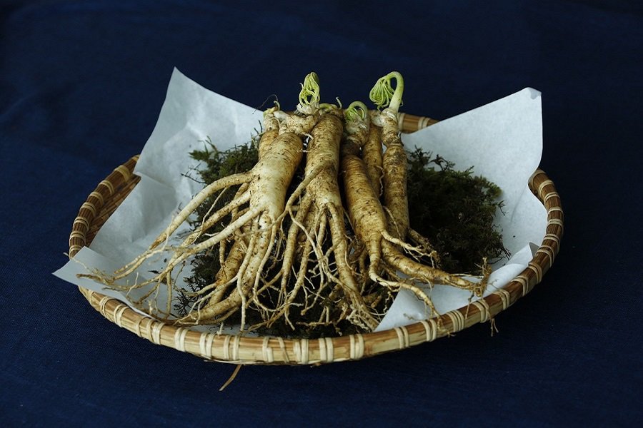 ginseng-tee-gegen-grippe